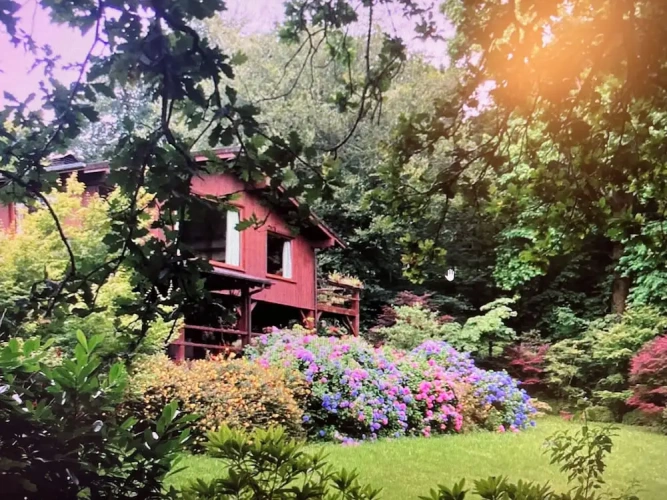 Comfort Cottage