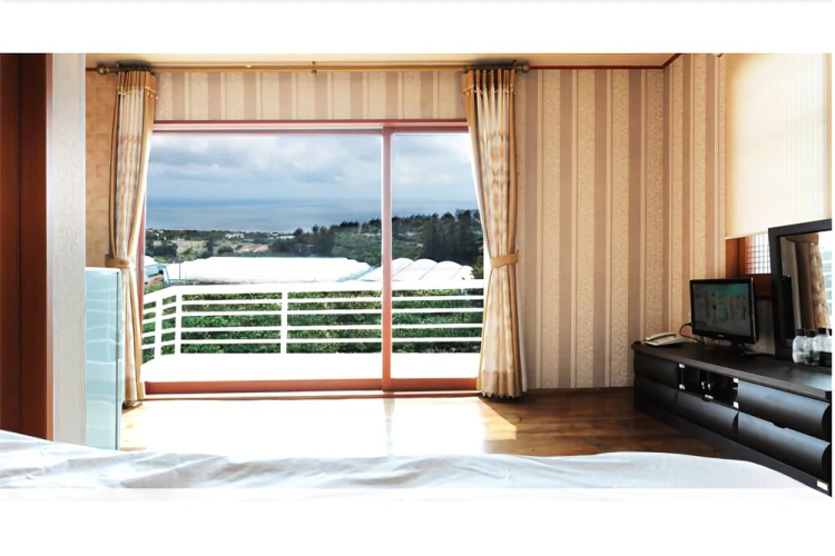 Seogwipo Bluesky Pension