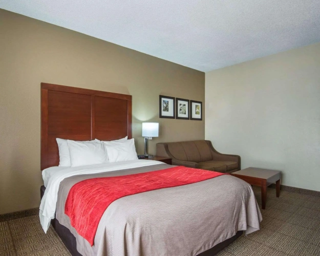 Quadruple Suite