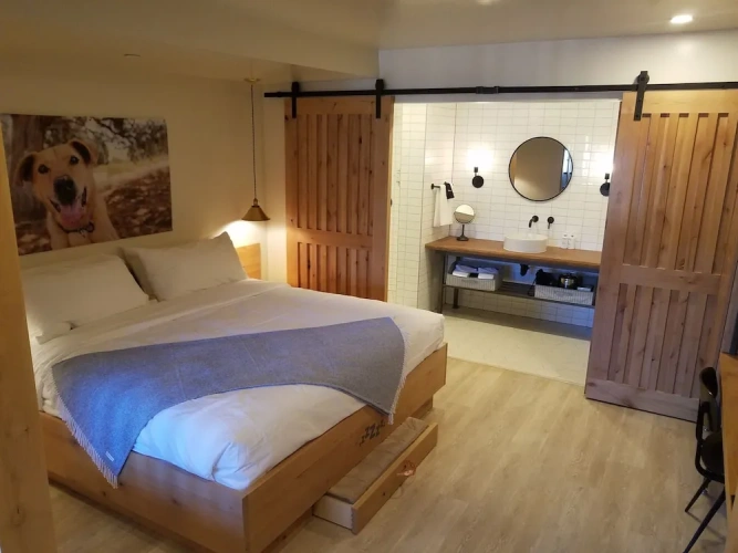 Standard Double Suite