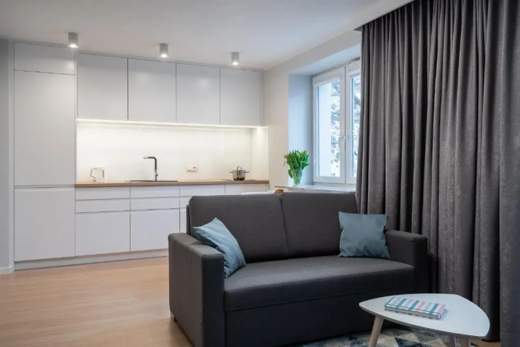 1 Bedroom Apartment