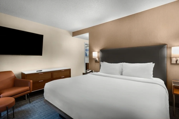 1 Bedroom Suite