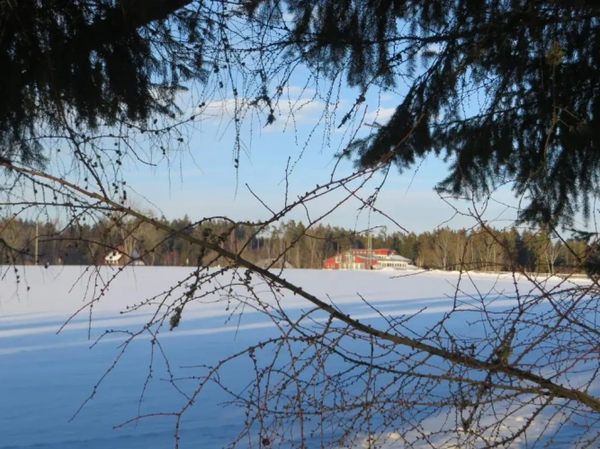 Cottage
