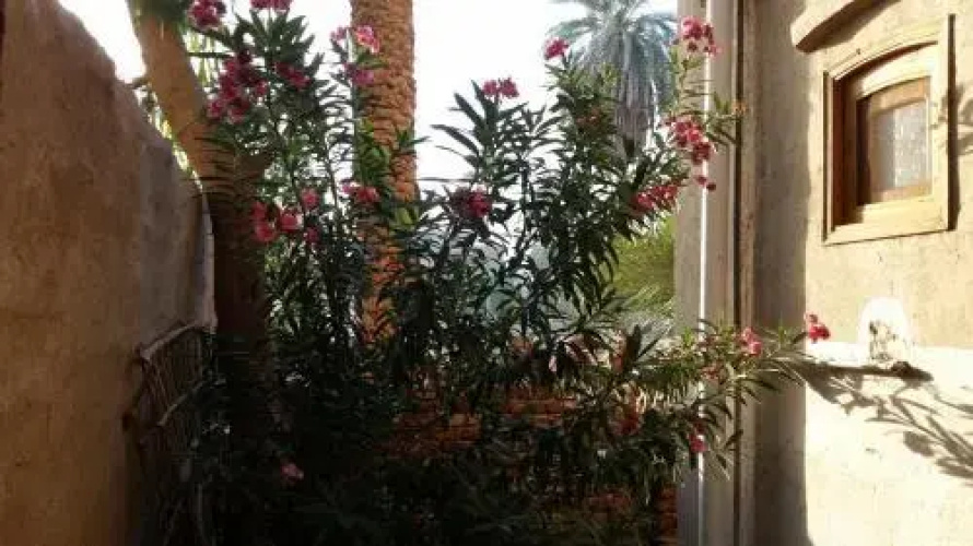 Little Ramses Guest House