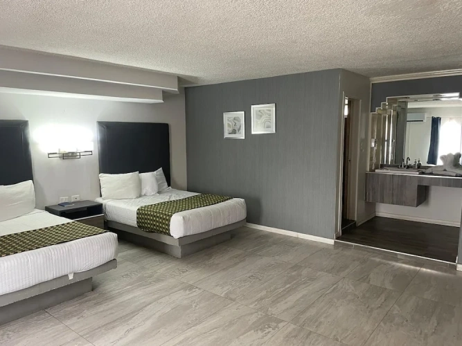 Business Single Suite