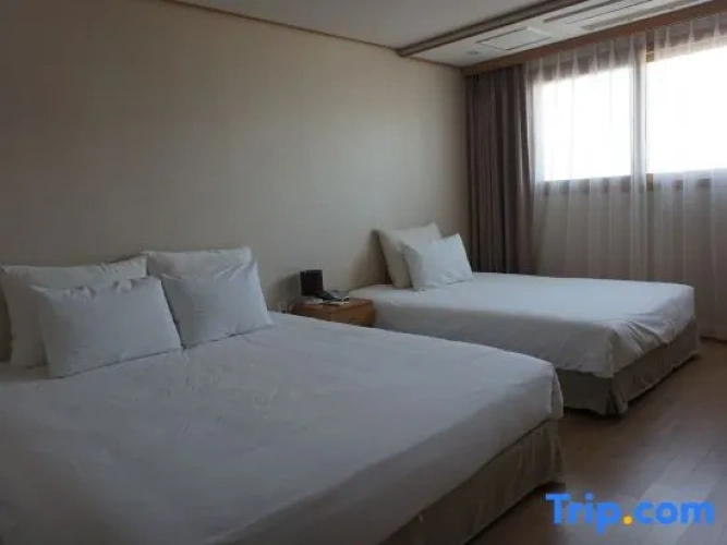 Standard Twin Family room