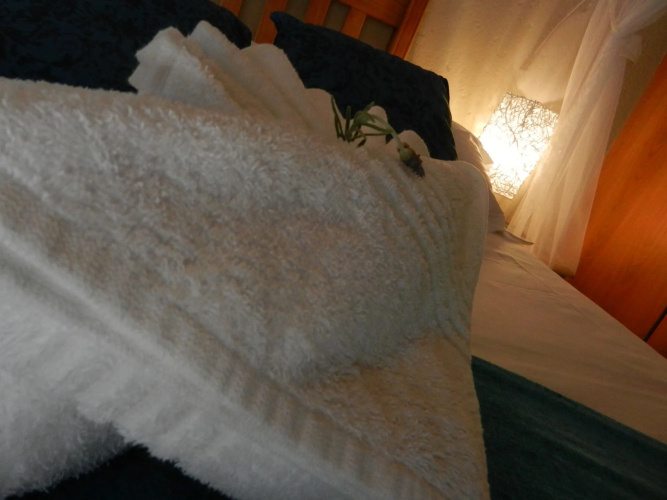 Beetleloop Guest House