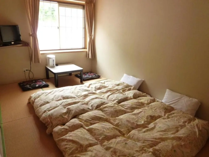 Standard Twin room with view