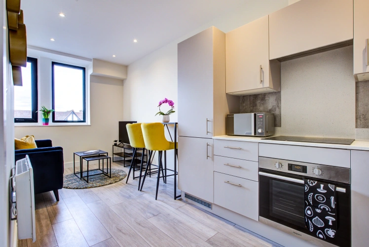 1 Bedroom Apartment
