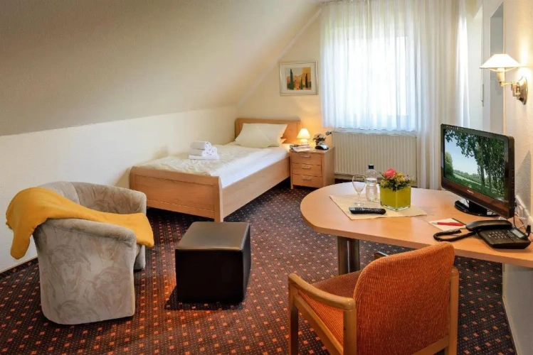 Standard Single room with balcony and with view