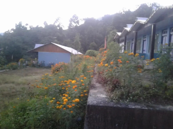 Vamoosetrail Pedong
