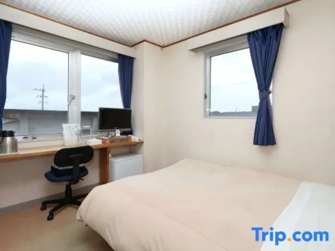 Standard Double room with ocean view