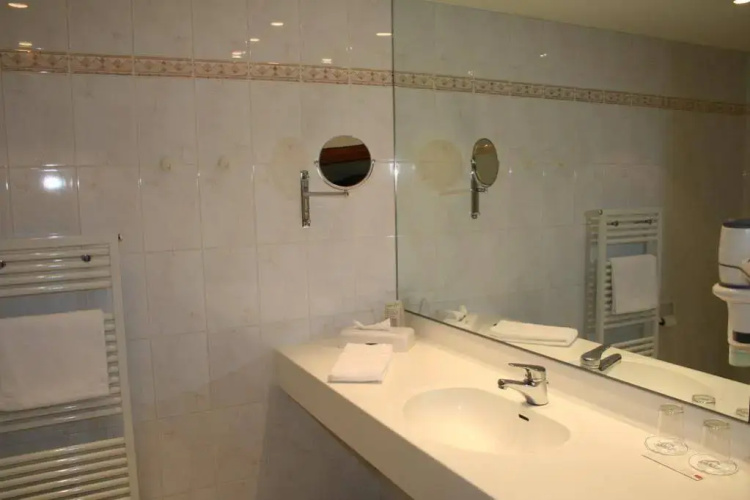 Rheinhotel LARUS