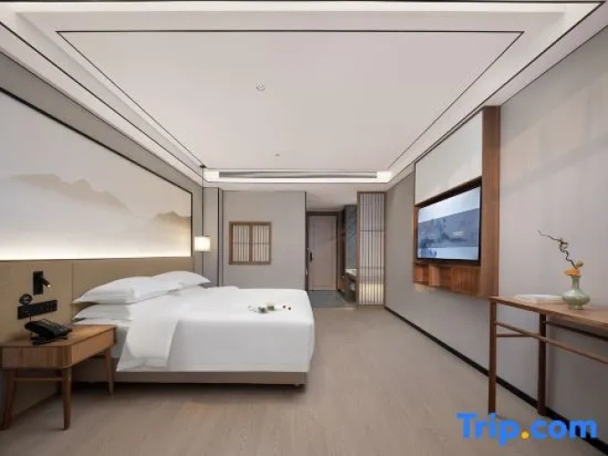Standard Double room with city view