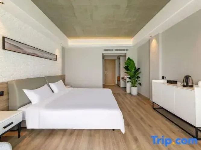Standard Double room with lake view