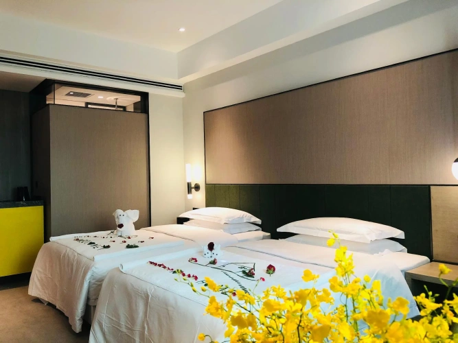 Standard Twin room with view