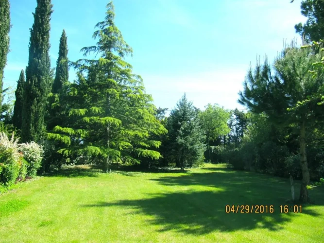 2 Bedrooms Double Cottage