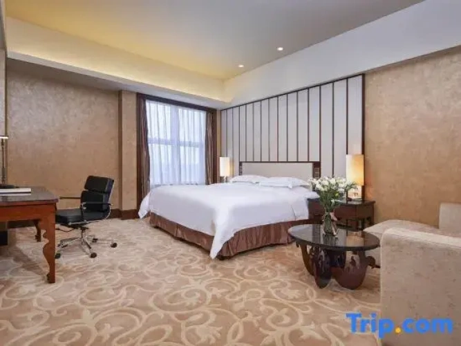 Superior Sextuple Suite