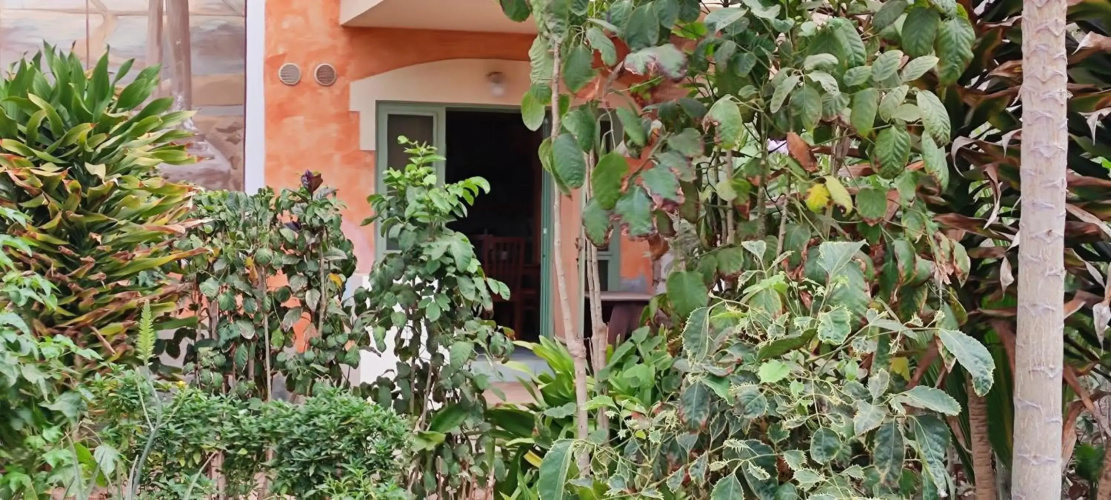 Sal Service djasal residence with pool