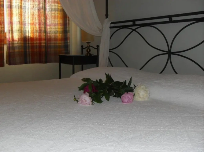 Standard Double room with view
