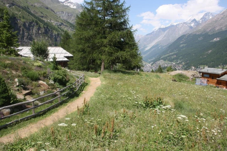 Chalet Z' Flesche