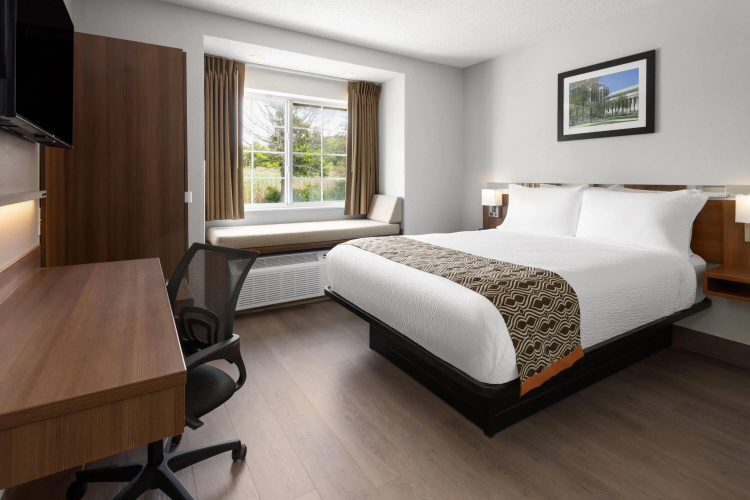 Microtel Inn by Wyndham Albany Airport photo 7