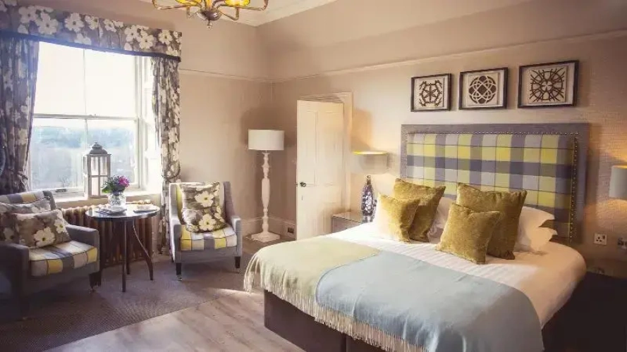 Standard Suite