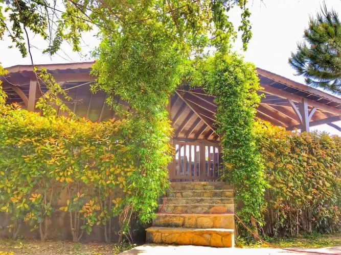 Bodrum Villa House