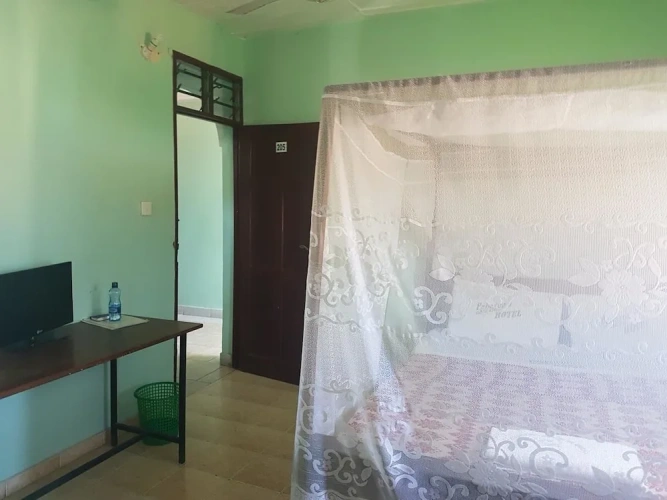 Deluxe Double room with city view