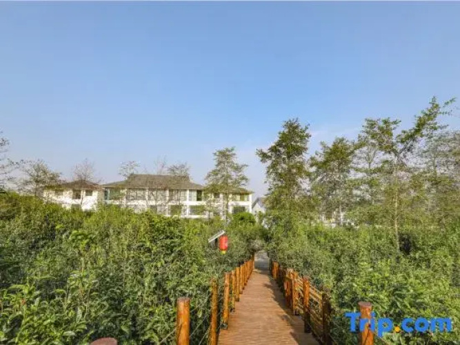 Chaboyuan hot spring Hotel