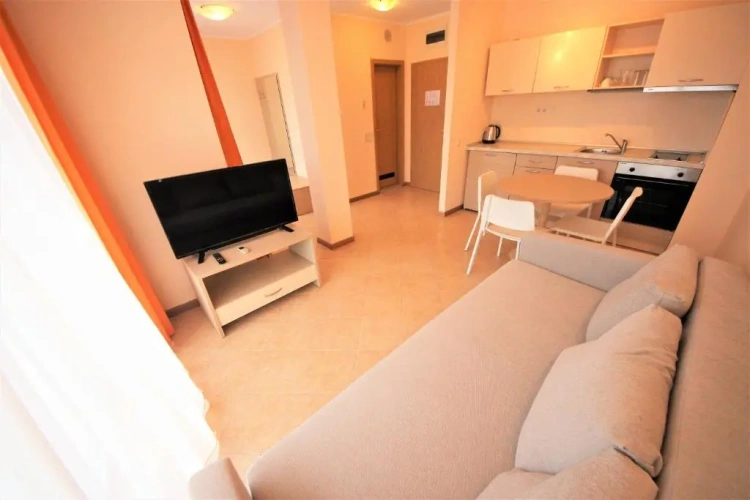 1 Bedroom Apartment with balcony and with view