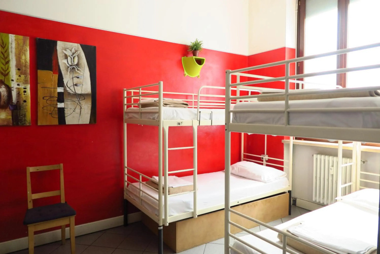 Koala Hostel