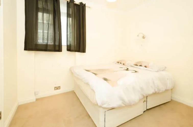Seymour Place Apartment