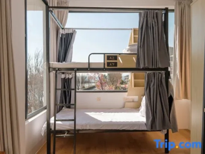 Bed in Dorm (female dorm) with sea view