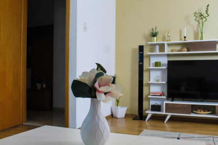Collosal Apartment with Garden