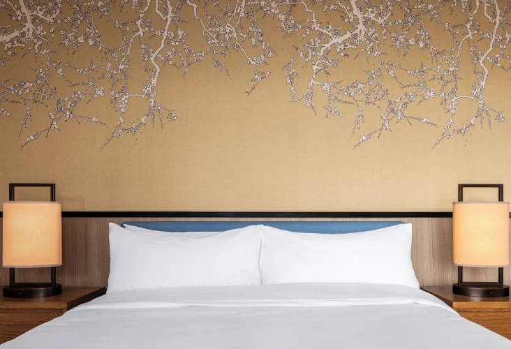 Luxury Double room with city view
