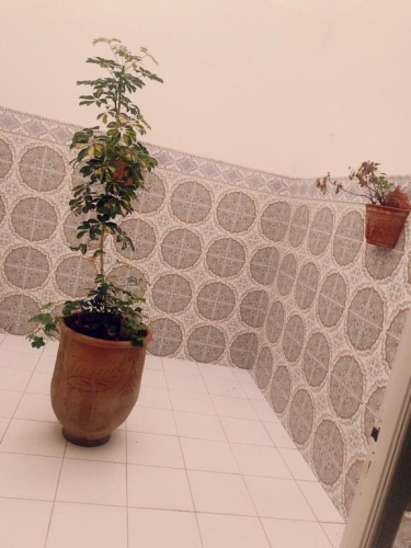 Basement Apartment