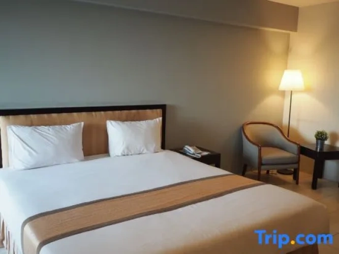 Standard Double room with city view