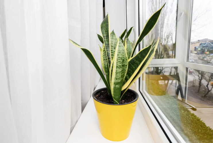 Фотография номера квартиры Booking Smart на переулке Партизанский  8