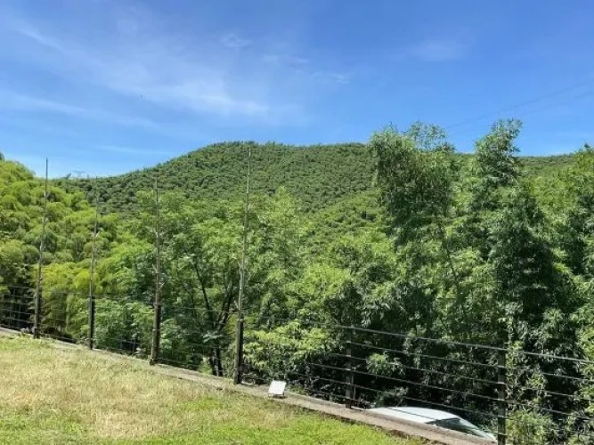Outside