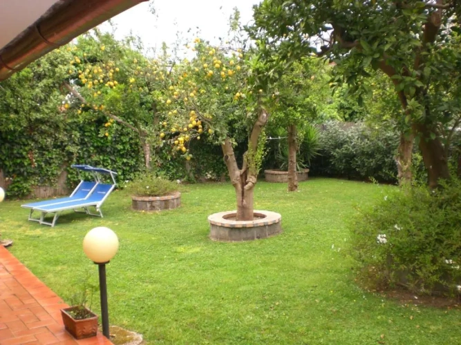 1 Bedroom Cottage