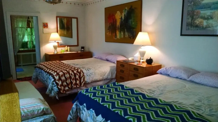 Standard Double room with view