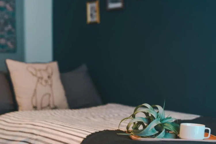 Florish 67 - Vacation STAY 15424v