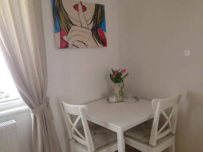 Apartment Hybernska