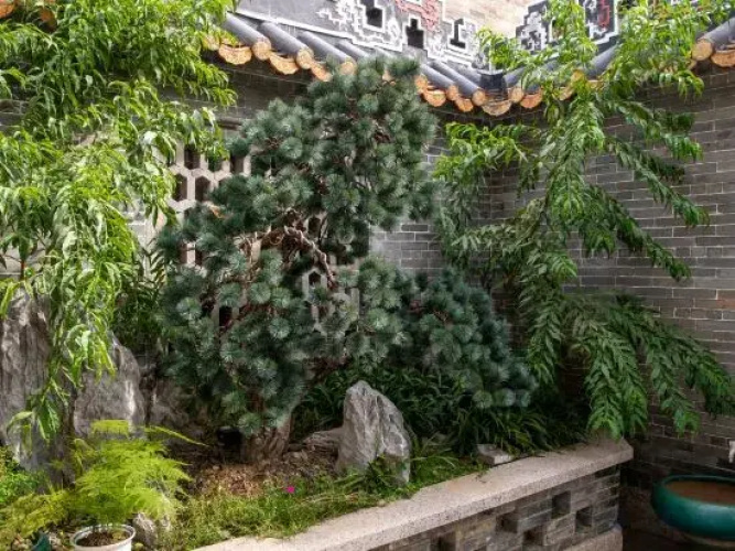 Fengjian Runlan Yaju Hotel