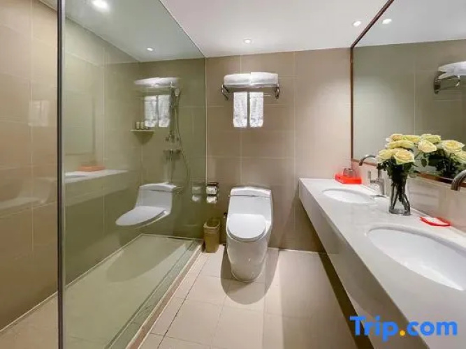 Vienna Hotel (Jinning Yongle)