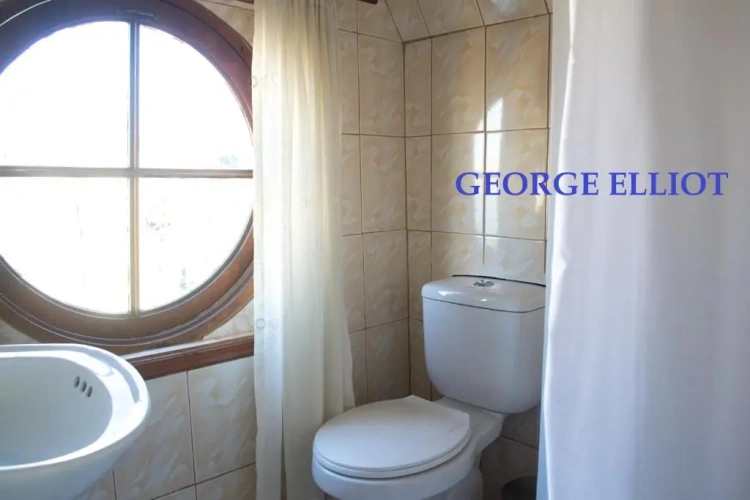 Standard Single room with view
