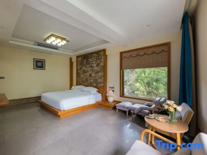 Deluxe Double room with mountain view