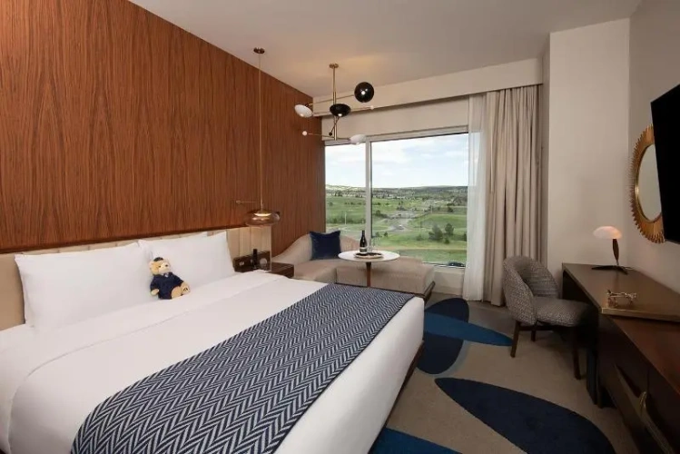 Standard Double Club room