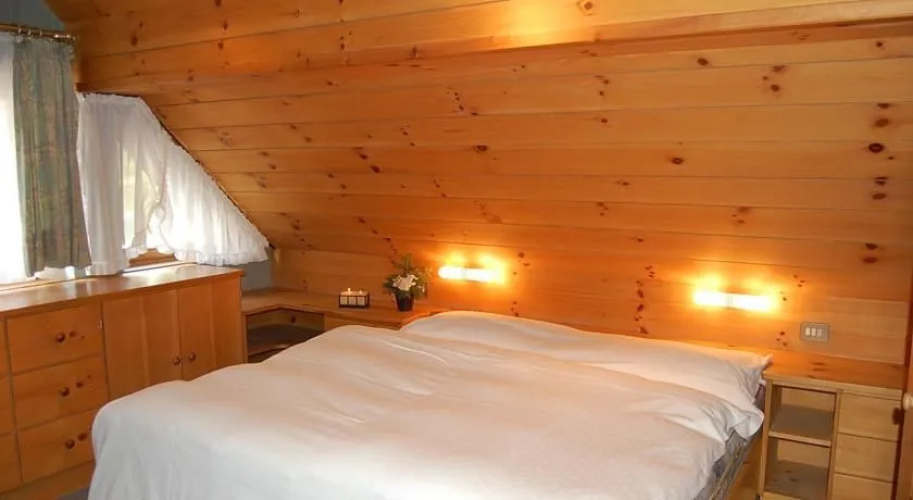 Residence Chalet Pinis